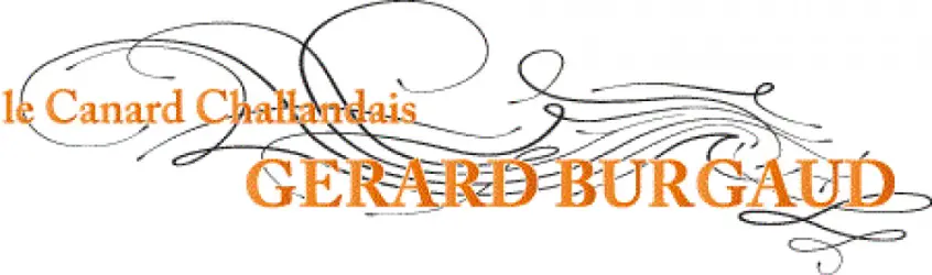 GERARD BURGAUD